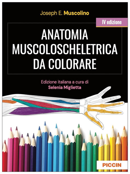 Anatomia muscoloscheletrica da colorare