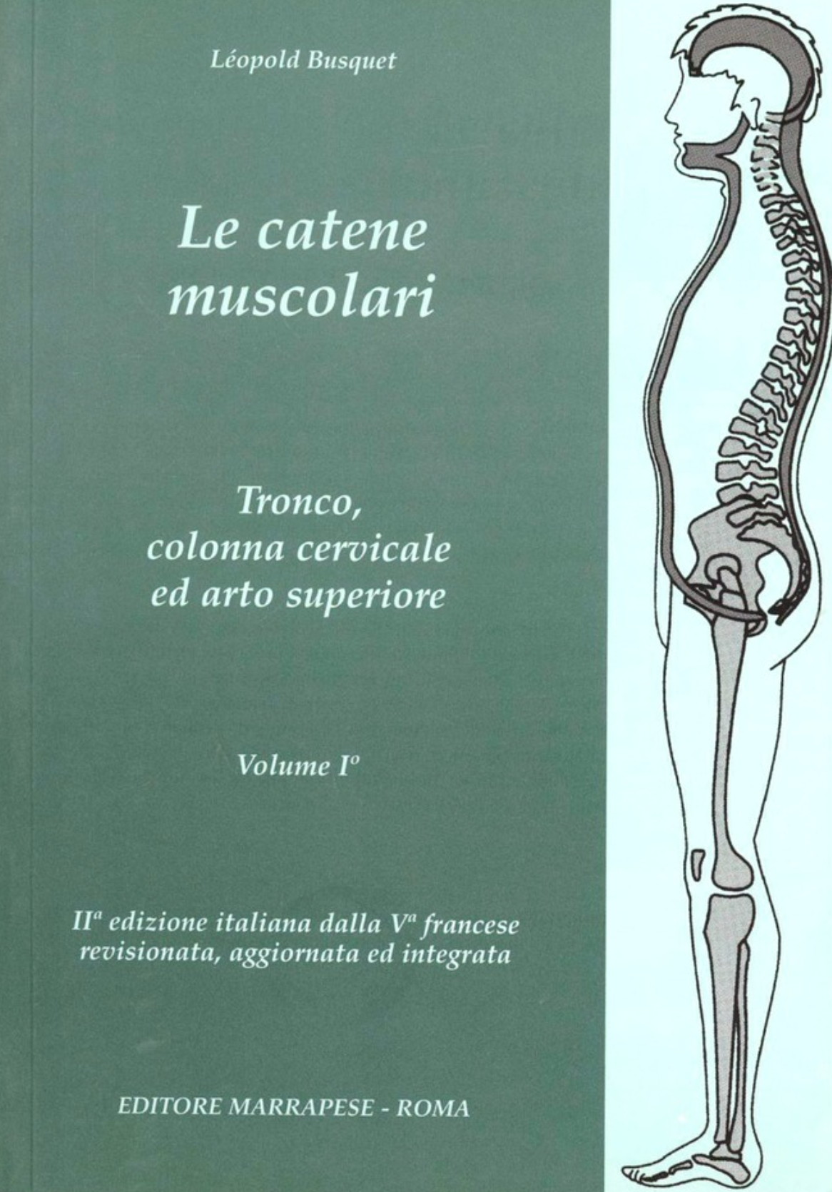 Le catene muscolari - Tronco, colonna cervicale ed arto superiore