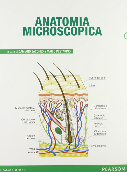Anatomia Microscopica
